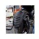 Shark Power Tyre Guard