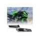Yamaha R15 V3 Stylish Wind Wing Adjustable Rotating Rearview Mirror Side